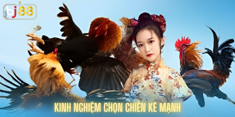 Kinh Nghiệm Chọn Chiến Kê Mạnh