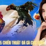 Tăng Tỷ Lệ Thắng Lớn Với  5 Chiến Thuật Đá Gà Đỉnh Cao